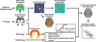 Effects of Alzheimer’s and Vascular Pathologies on Structural Connectivity in Early- and Late-Onset Alzheimer’s Disease